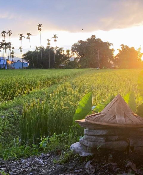 485722727_1089267563216652_5725828886390108138_n